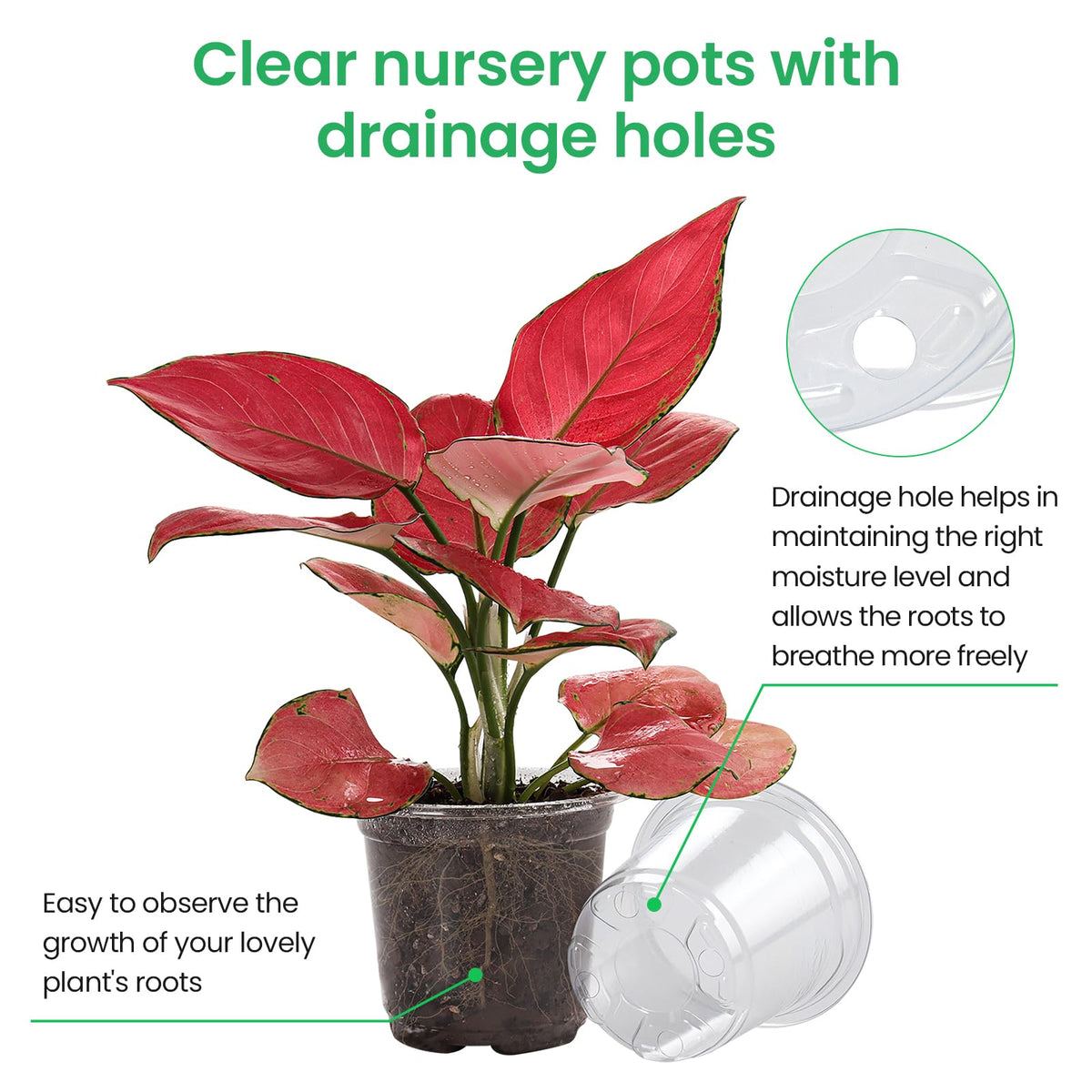 Bluepro Clear Nursery Pots with Humidity Domes, 4 Inch, 30-Pack Father Jim Norris notebooks