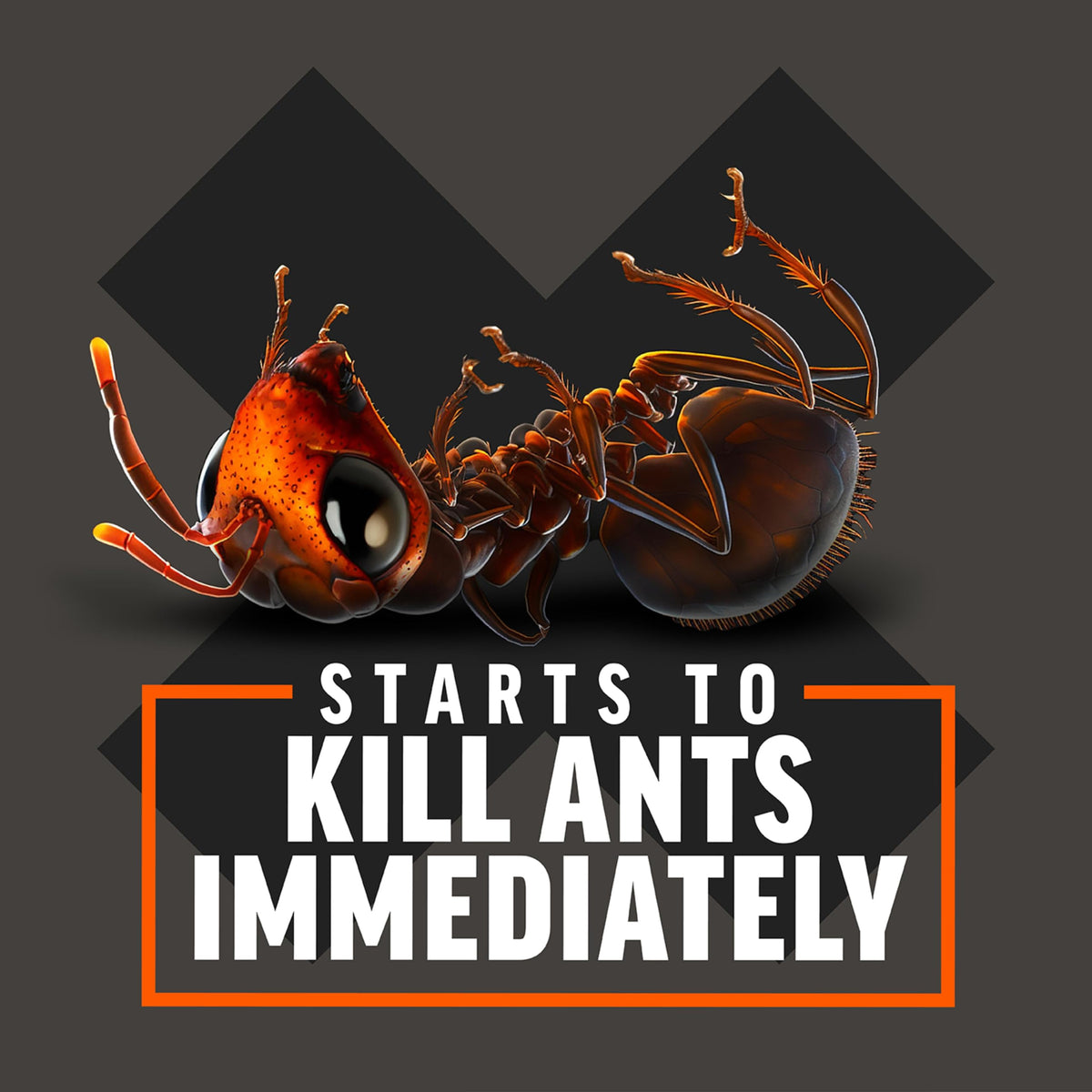 Amdro Fire Ant Killer for Mounds, 1 Lb Father Jim Norris notebooks