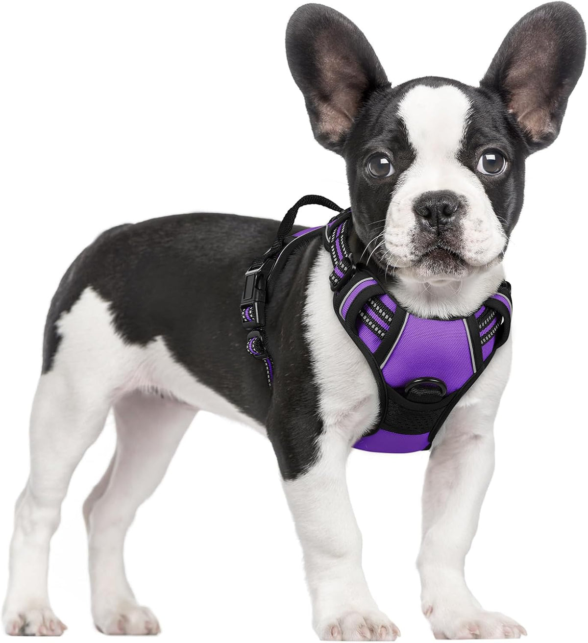 rabbitgoo Dog Harness, No Pull for Large Dogs with 2 Leash Clips, Pet Vest