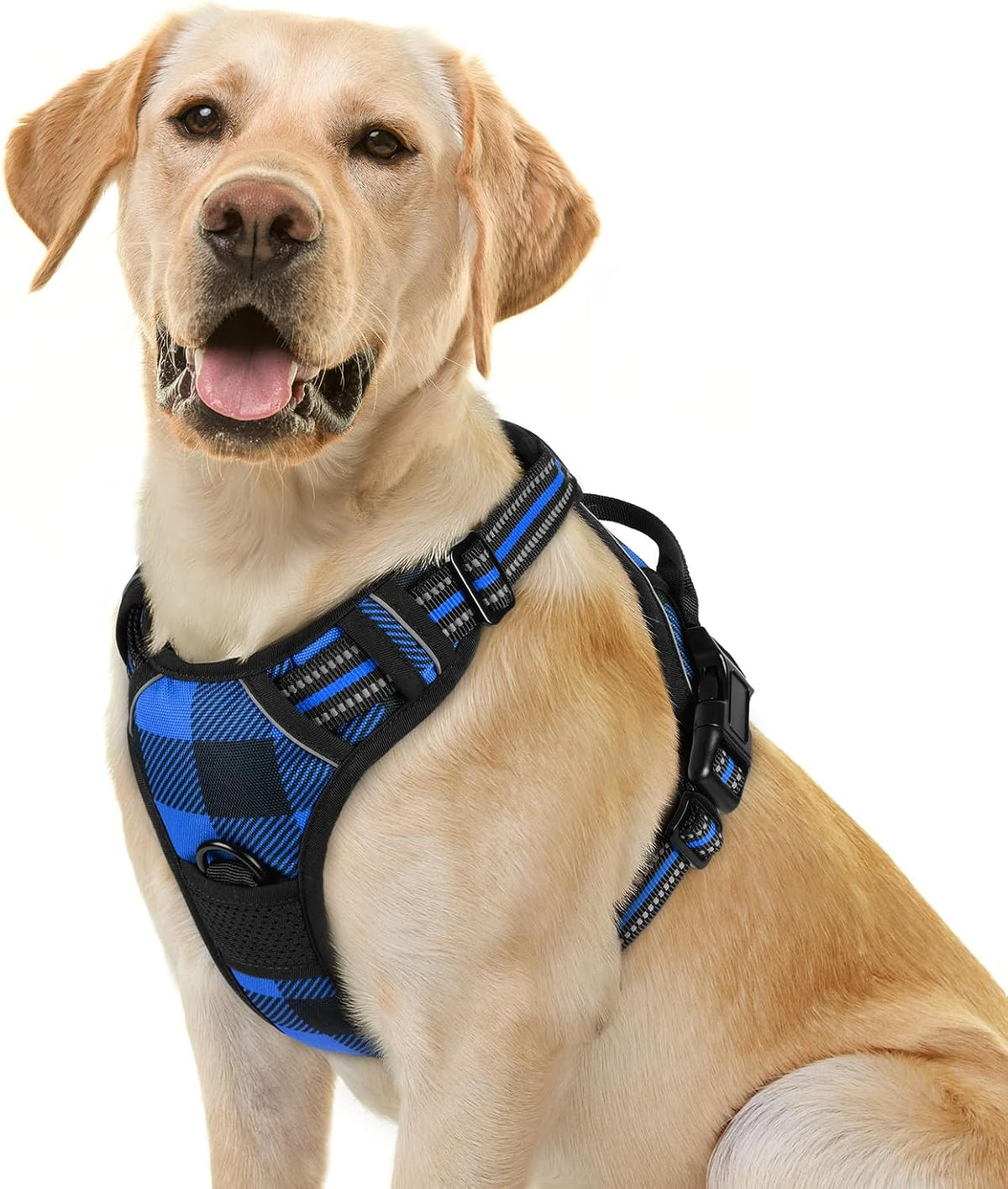 rabbitgoo Dog Harness, No Pull for Large Dogs with 2 Leash Clips, Pet Vest