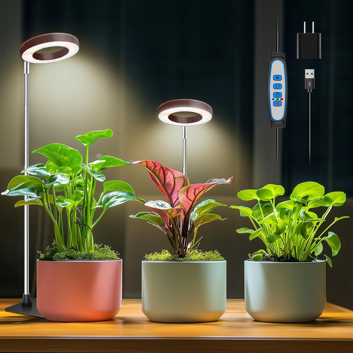 Aokrean Grow Lights for Indoor Plants Growing, Full Spectrum with Base Father Jim Norris notebooks