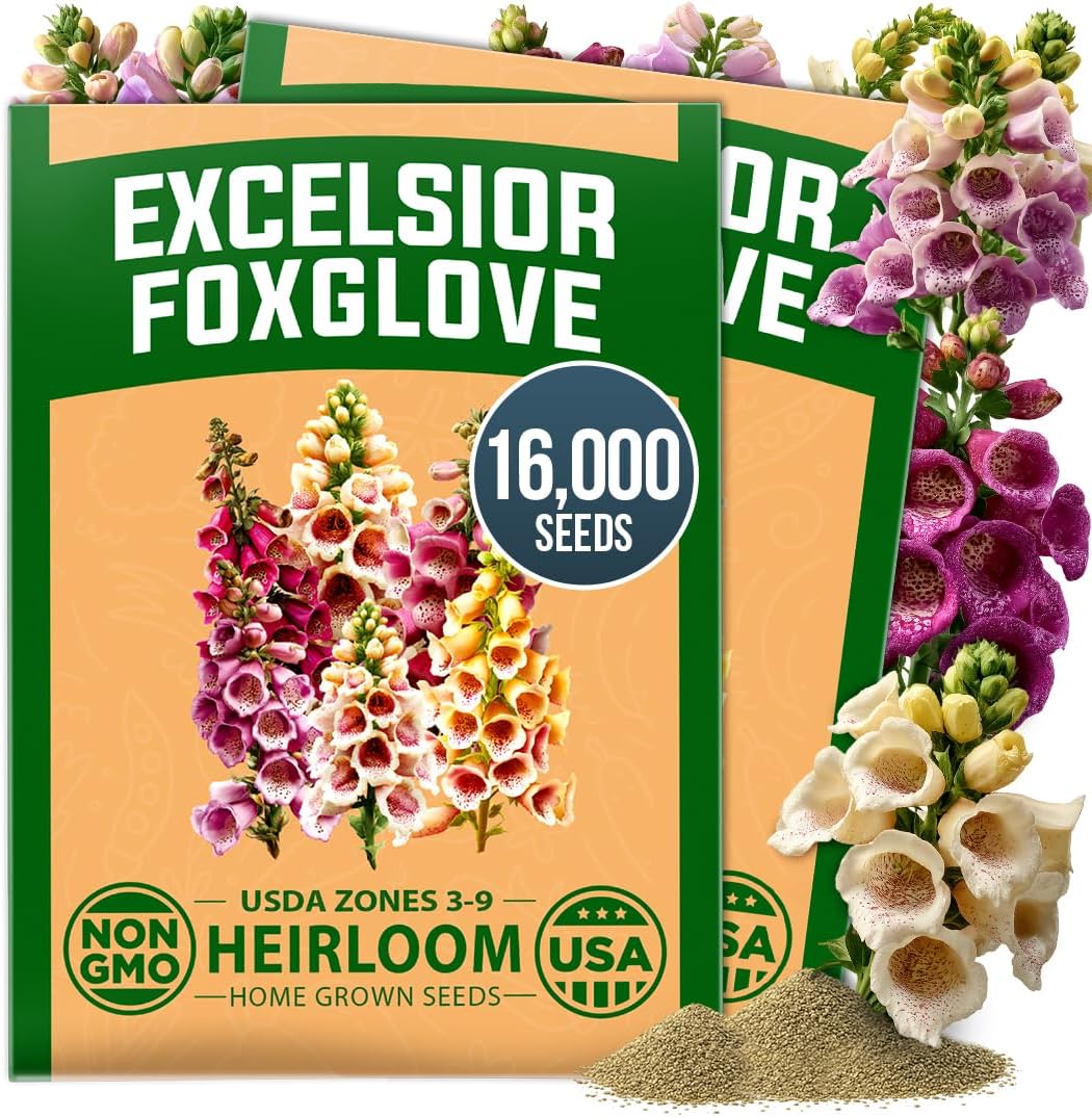HOME GROWN 15 Herb Seed Variety Kit, 5100+ Seeds, Culinary Herb Kit Father Jim Norris notebooks