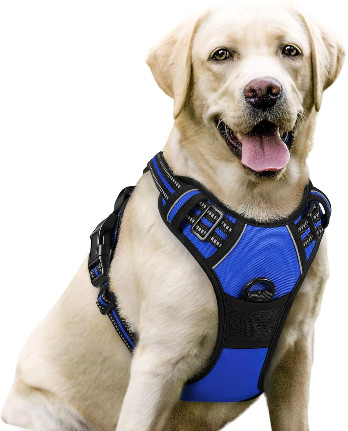 rabbitgoo Dog Harness, No Pull for Large Dogs with 2 Leash Clips, Pet Vest