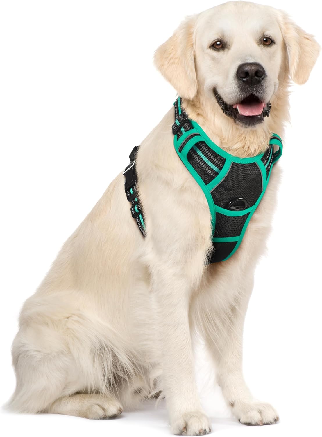 rabbitgoo Dog Harness, No Pull for Large Dogs with 2 Leash Clips, Pet Vest
