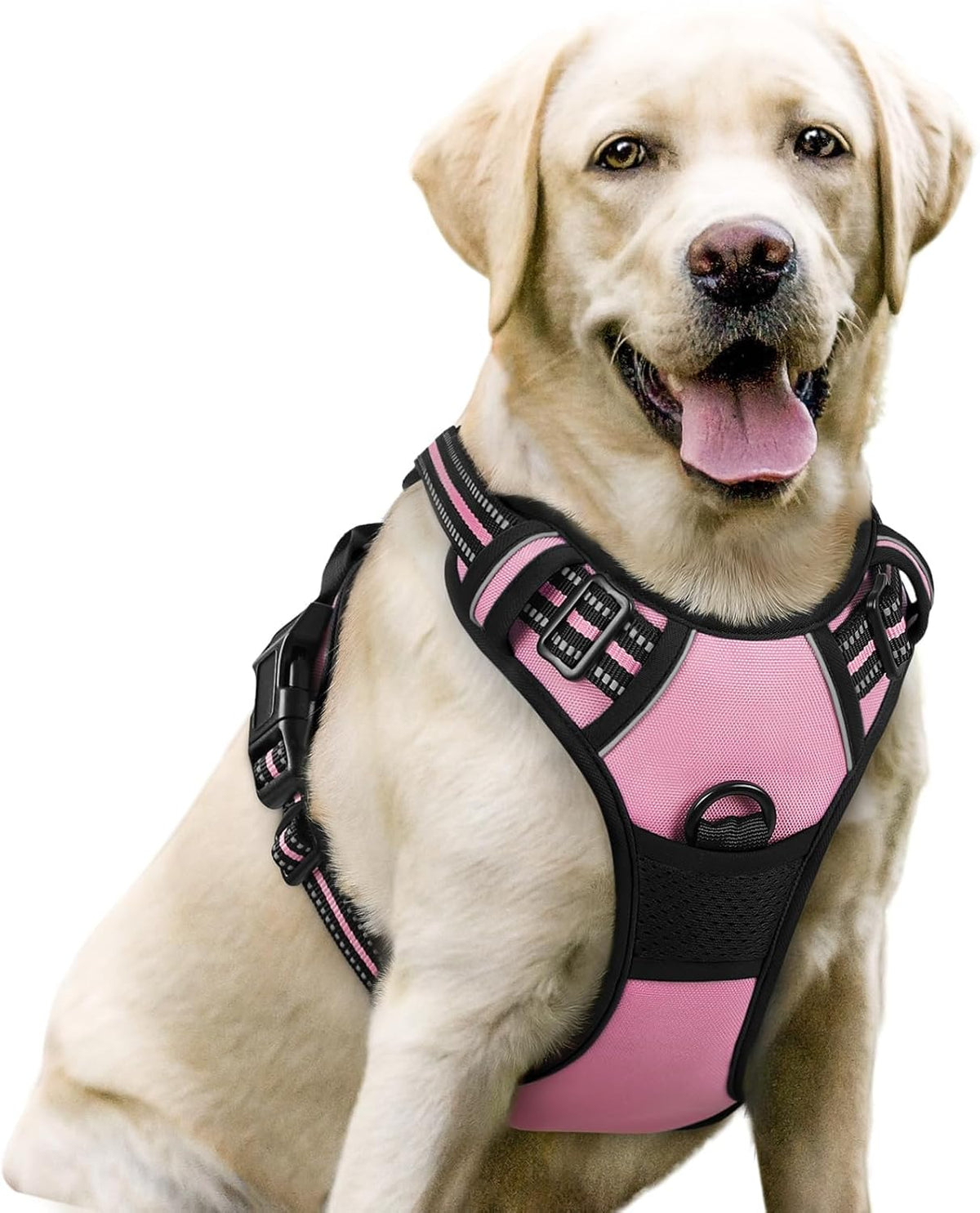 rabbitgoo Dog Harness, No Pull for Large Dogs with 2 Leash Clips, Pet Vest