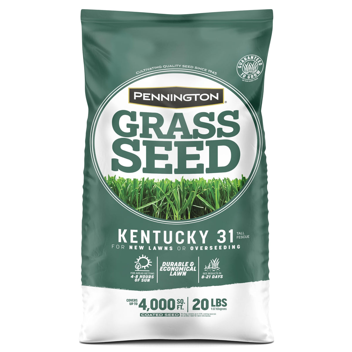 Pennington Kentucky 31 Tall Fescue Grass Seed, Drought-Resistant, 7 LB Father Jim Norris notebooks