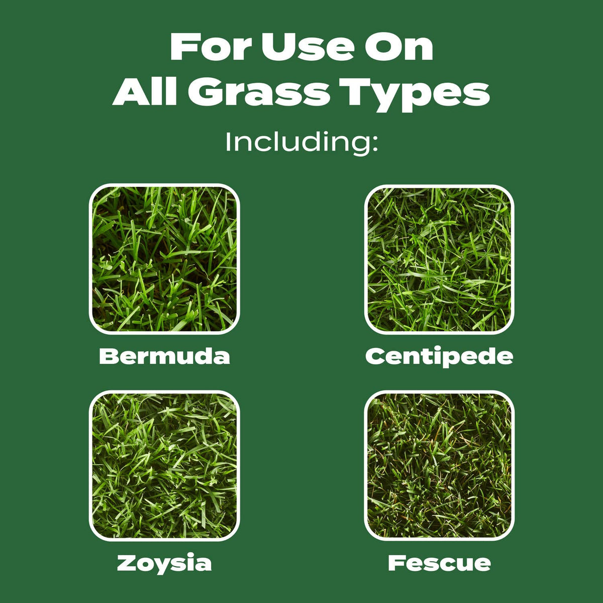 Scotts Turf Builder Lawn Food, 37.50 lbs. Father Jim Norris notebooks