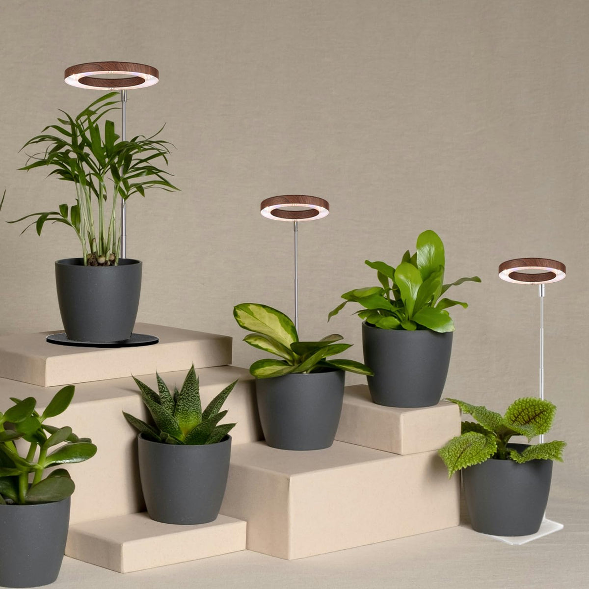 Yadoker 144 LEDs Full Spectrum Plant Grow Light for Indoor Plants,Height Adjustable, 6.3" Aluminum Housing,Automatic Timer with 8/12/16 Hours,10-Level Brightness,Black Plant Light with Base,2 Pack Father Jim Norris notebooks