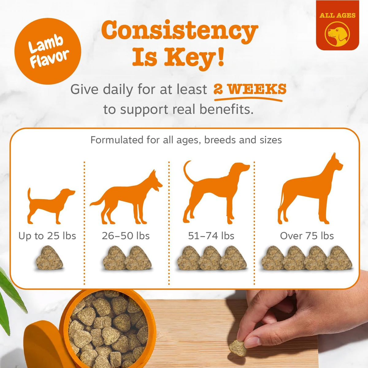 Zesty Paws Dog Allergy Chews - Dog Allergy Relief, Lamb, 90 Ct Father Jim Norris notebooks
