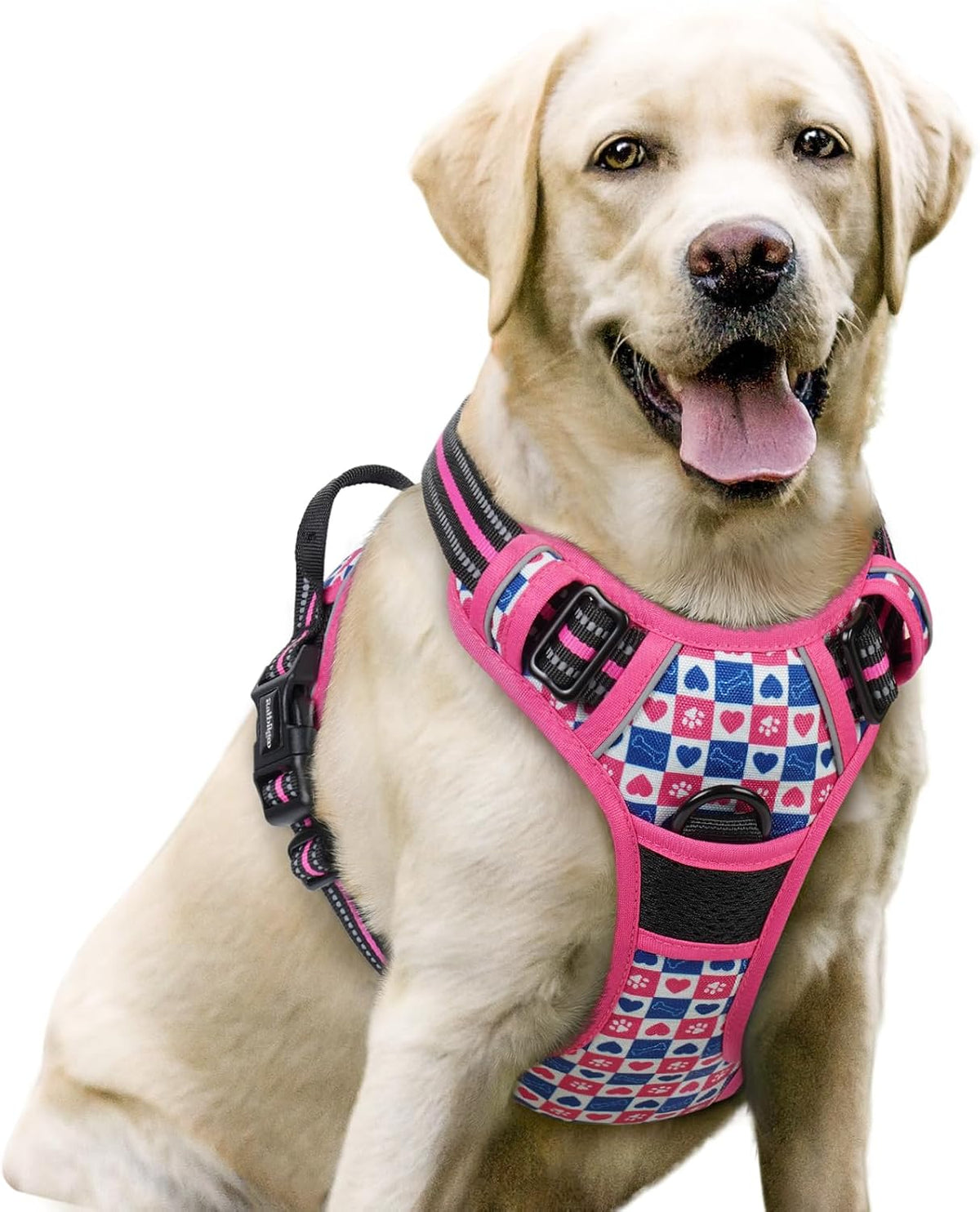 rabbitgoo Dog Harness, No Pull for Large Dogs with 2 Leash Clips, Pet Vest