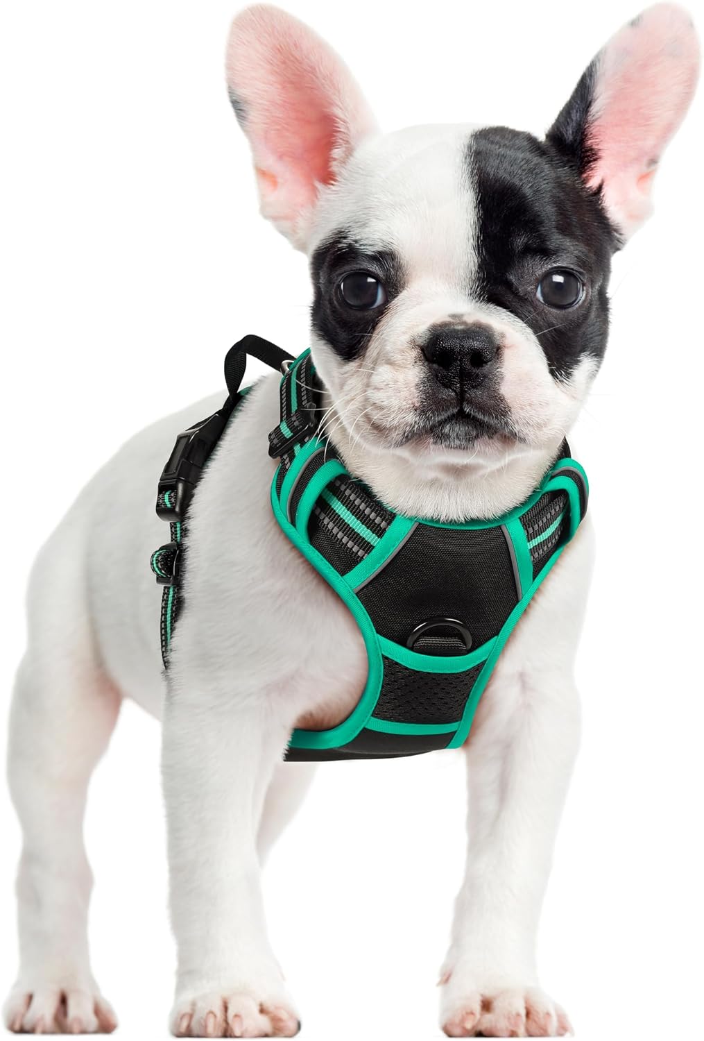 rabbitgoo Dog Harness, No Pull for Large Dogs with 2 Leash Clips, Pet Vest