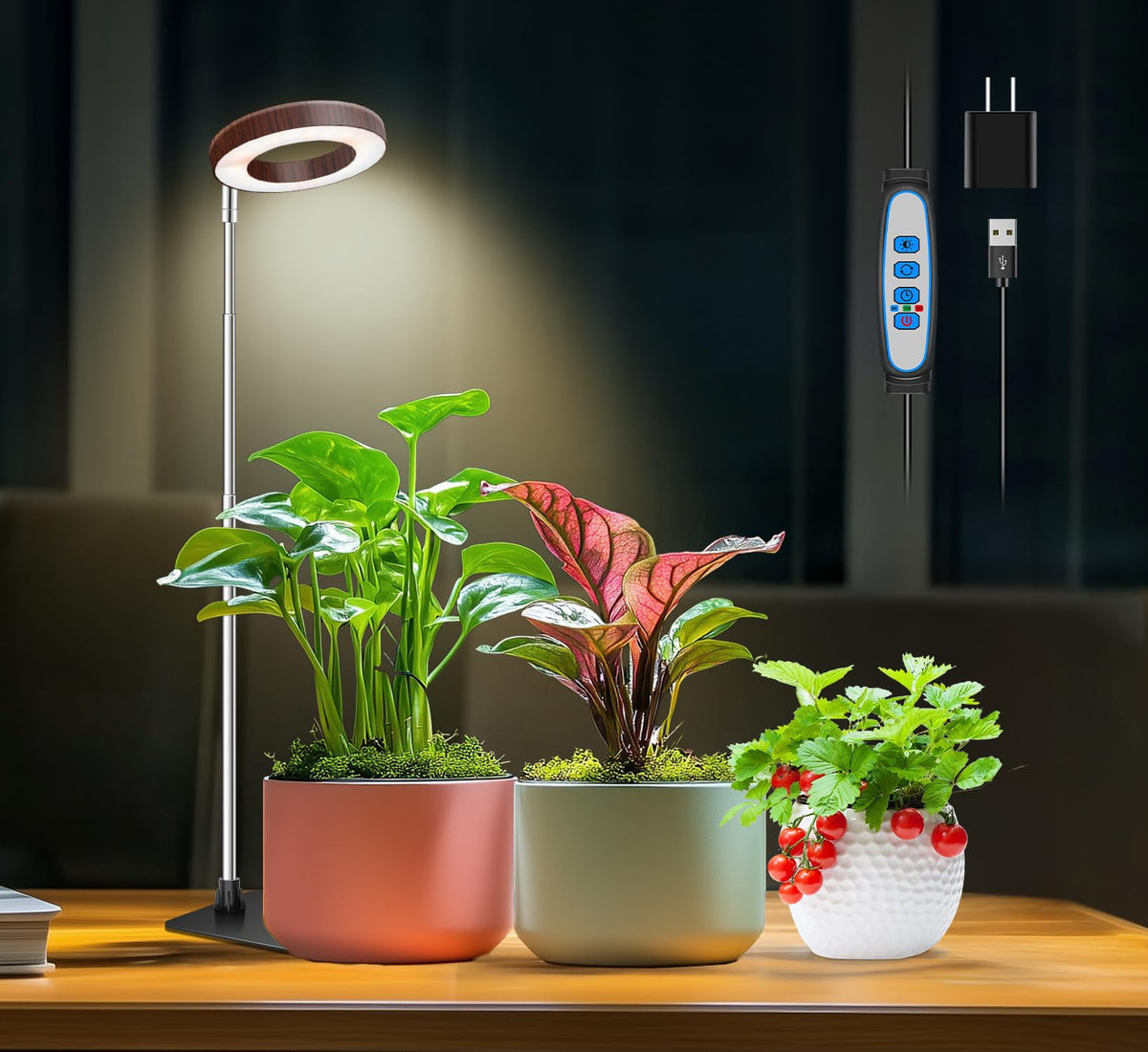 Aokrean Grow Lights for Indoor Plants Growing, Full Spectrum with Base Father Jim Norris notebooks