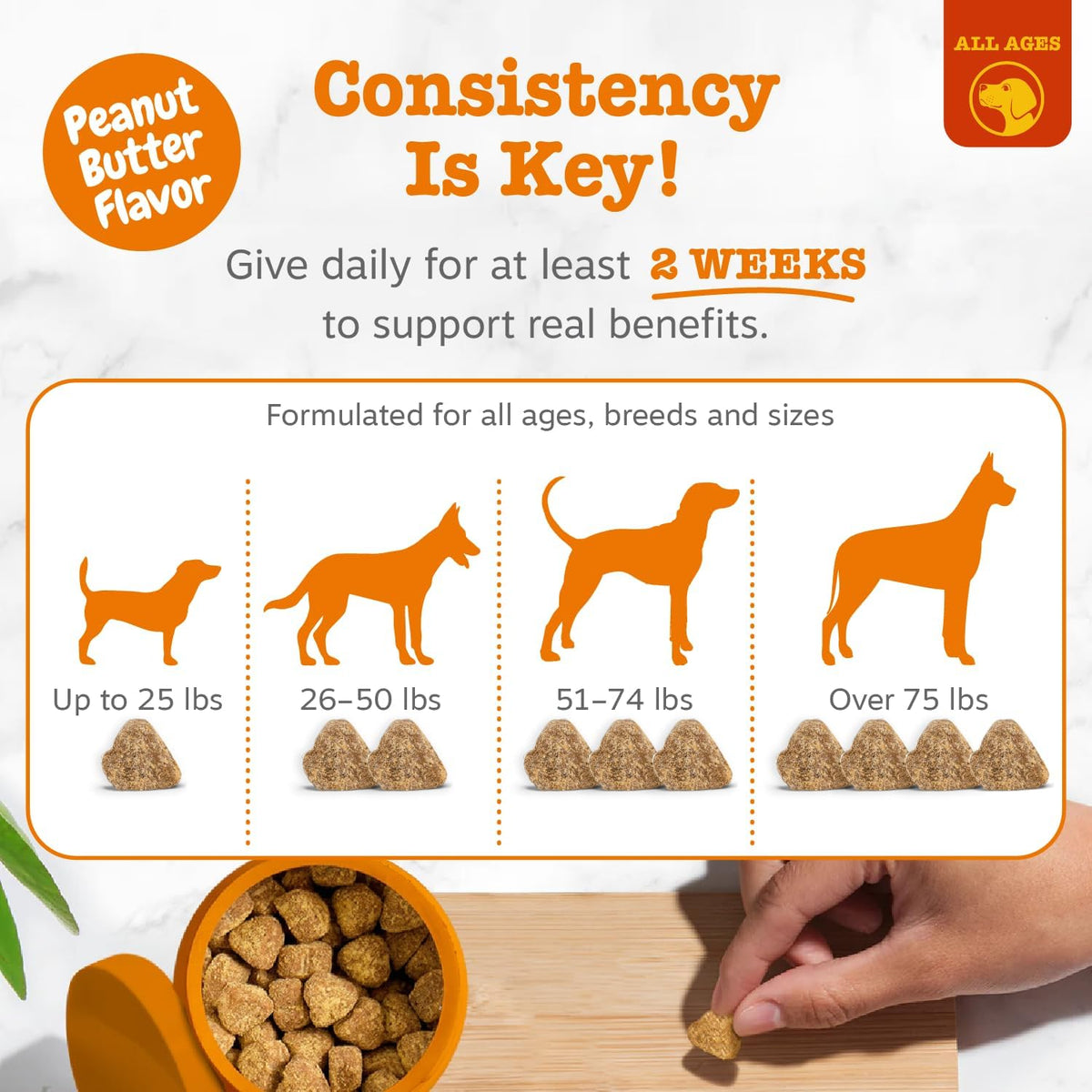 Zesty Paws Dog Allergy Chews - Dog Allergy Relief, Lamb, 90 Ct Father Jim Norris notebooks