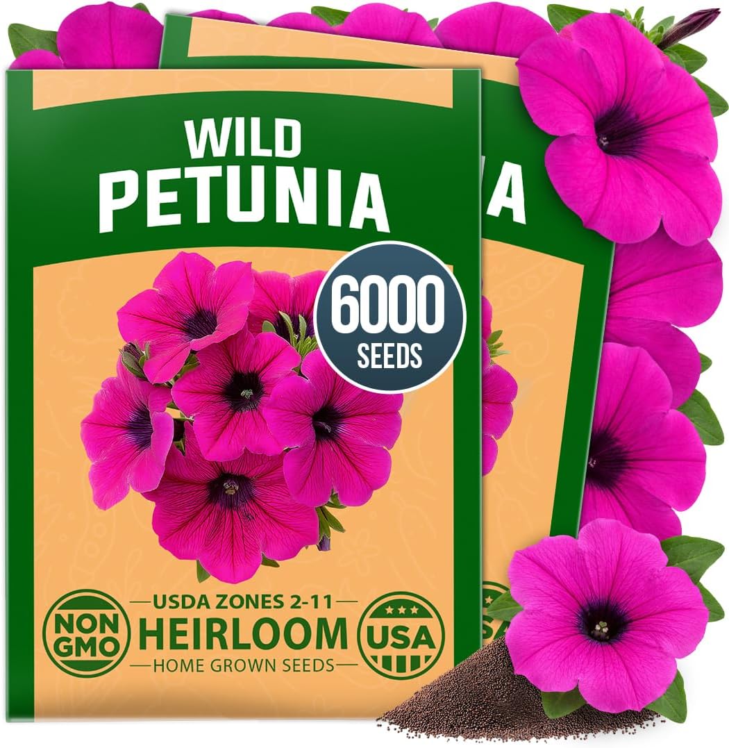 HOME GROWN 15 Herb Seed Variety Kit, 5100+ Seeds, Culinary Herb Kit Father Jim Norris notebooks