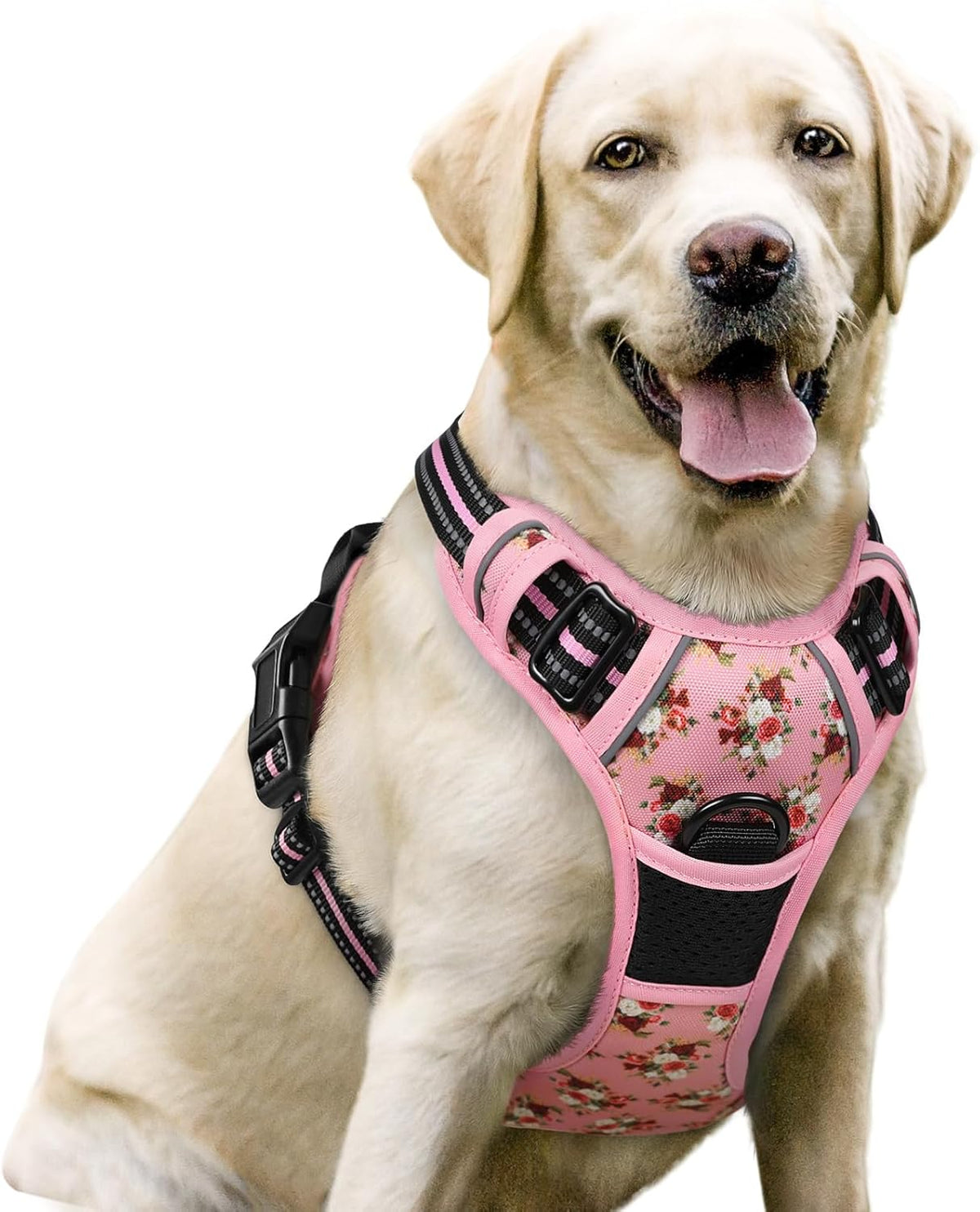 rabbitgoo Dog Harness, No Pull for Large Dogs with 2 Leash Clips, Pet Vest