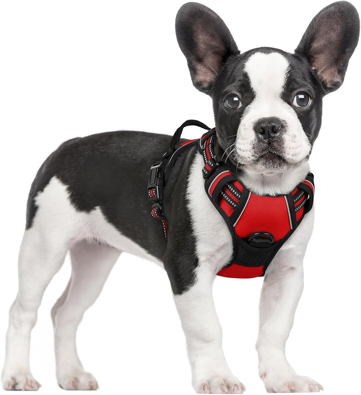 rabbitgoo Dog Harness, No Pull for Large Dogs with 2 Leash Clips, Pet Vest