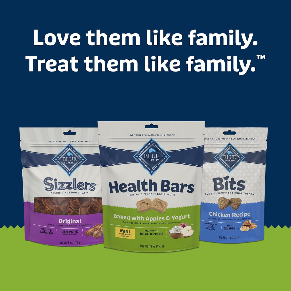 Blue Buffalo Health Bars Pumpkin & Cinnamon Dog Biscuits, 16 oz Father Jim Norris notebooks