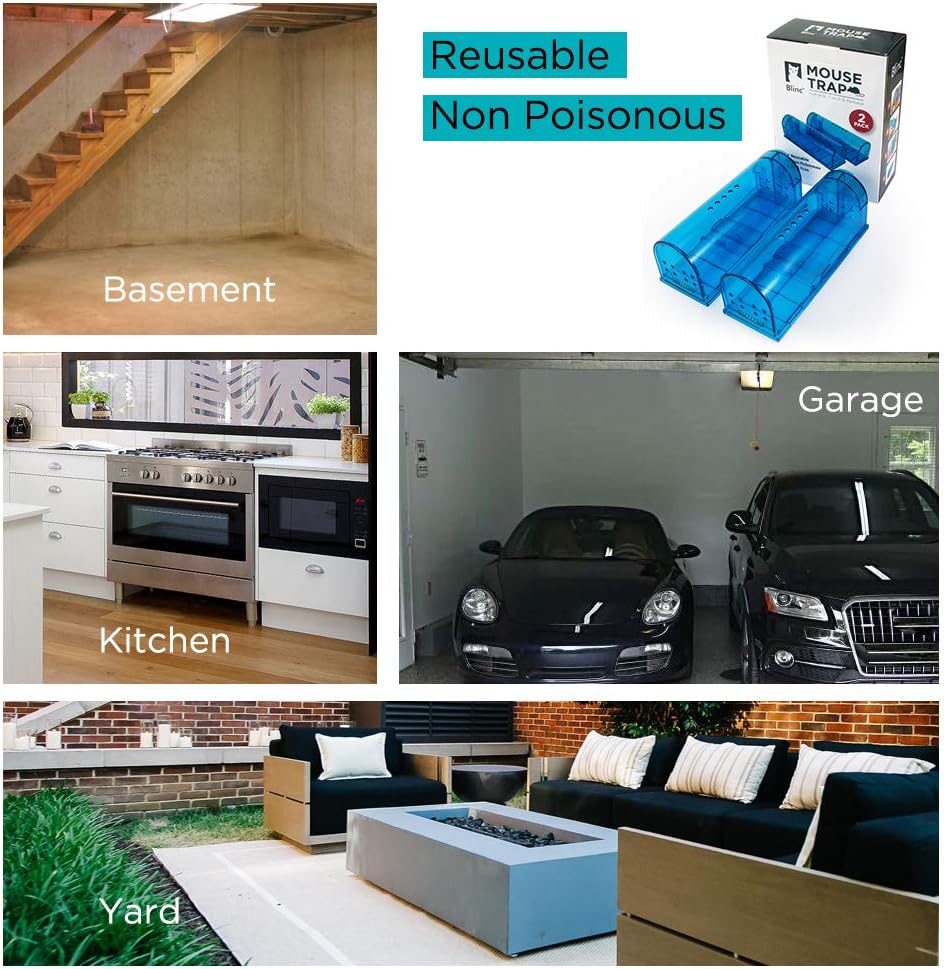 Humane Mouse Trap Reusable! [2-Pack] - Catch and Release No-Kill Rodent Traps for Indoors & Outdoors - Safe for Children & Pets - Reusable Mouse Catcher for Kitchen, Pantry & Garage Blinc (Blue) Father Jim Norris notebooks
