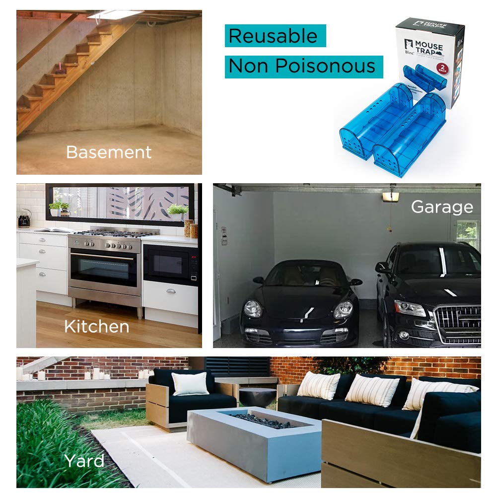 Humane Mouse Trap Reusable! [2-Pack] - Catch and Release No-Kill Rodent Traps for Indoors & Outdoors - Safe for Children & Pets - Reusable Mouse Catcher for Kitchen, Pantry & Garage Blinc (Blue) Father Jim Norris notebooks