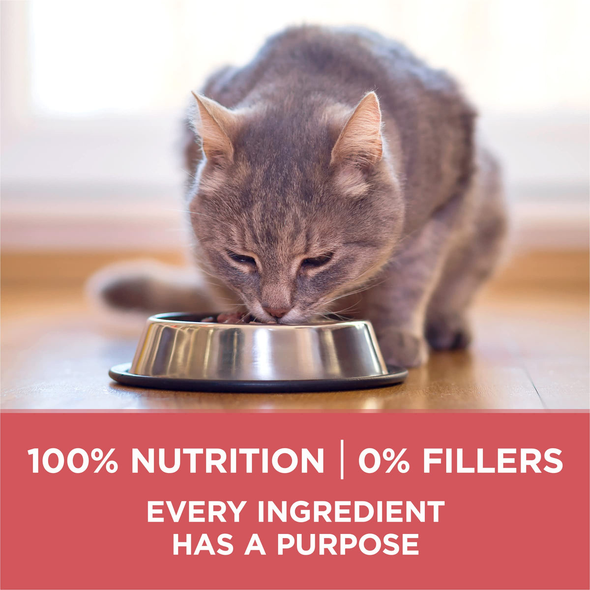 Purina ONE Natural Indoor Dry Cat Food, +Plus Indoor Advantage