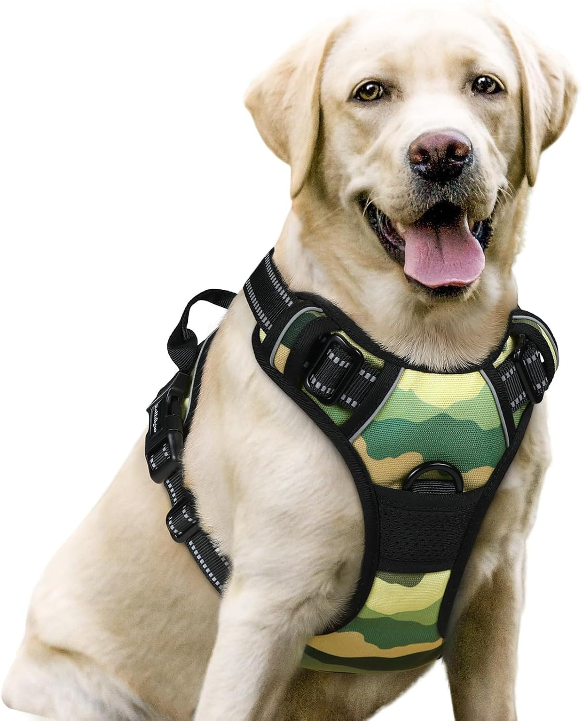 rabbitgoo Dog Harness, No Pull for Large Dogs with 2 Leash Clips, Pet Vest