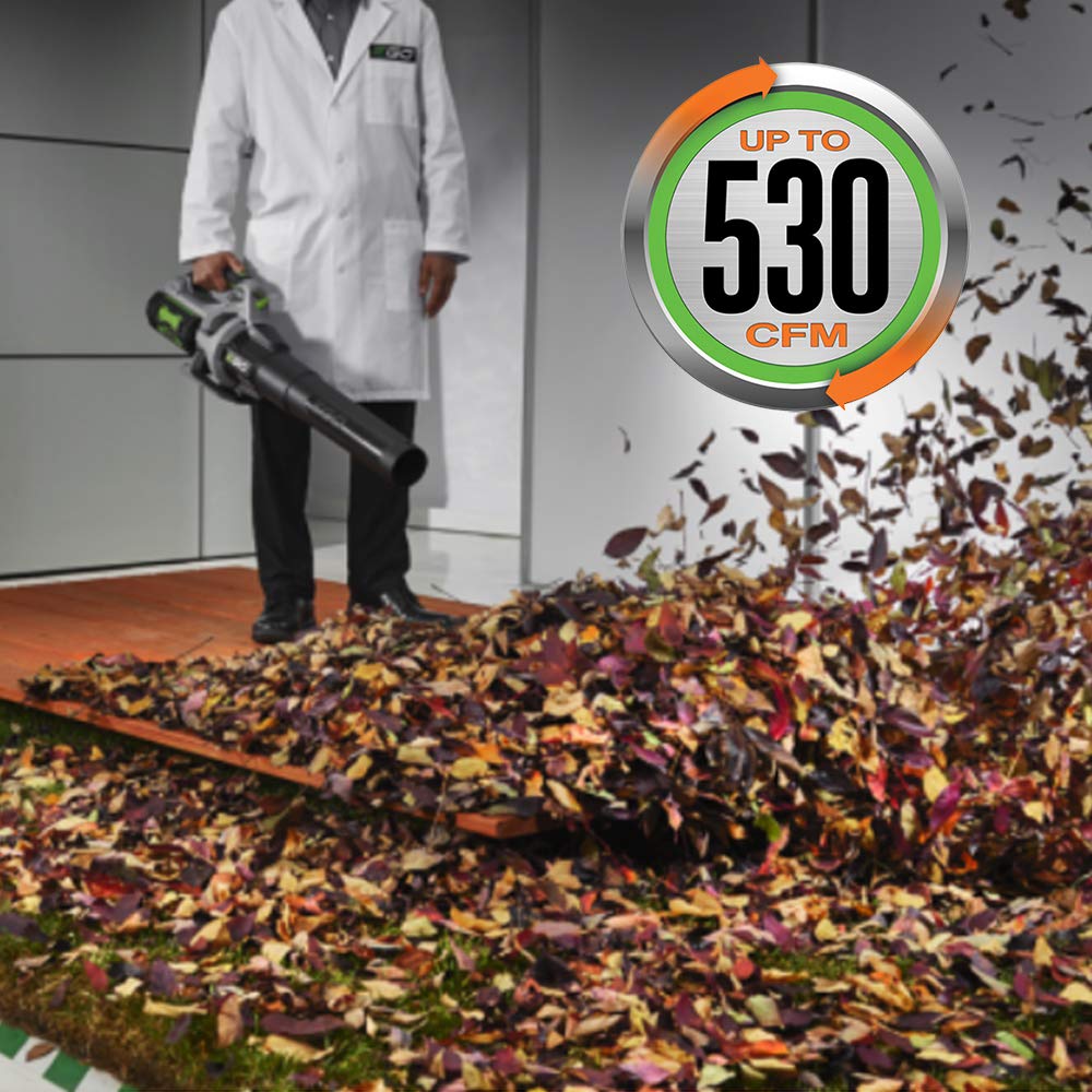 EGO POWER+ 15" Cordless Weed Trimmer with Battery and Charger - ST1502SA Father Jim Norris notebooks