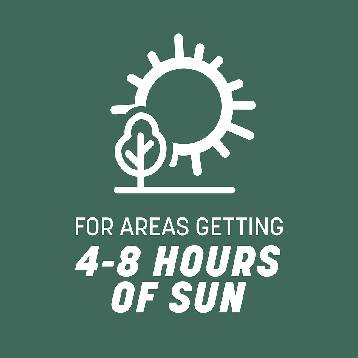 Pennington Kentucky 31 Tall Fescue Grass Seed, Drought-Resistant, 7 LB Father Jim Norris notebooks