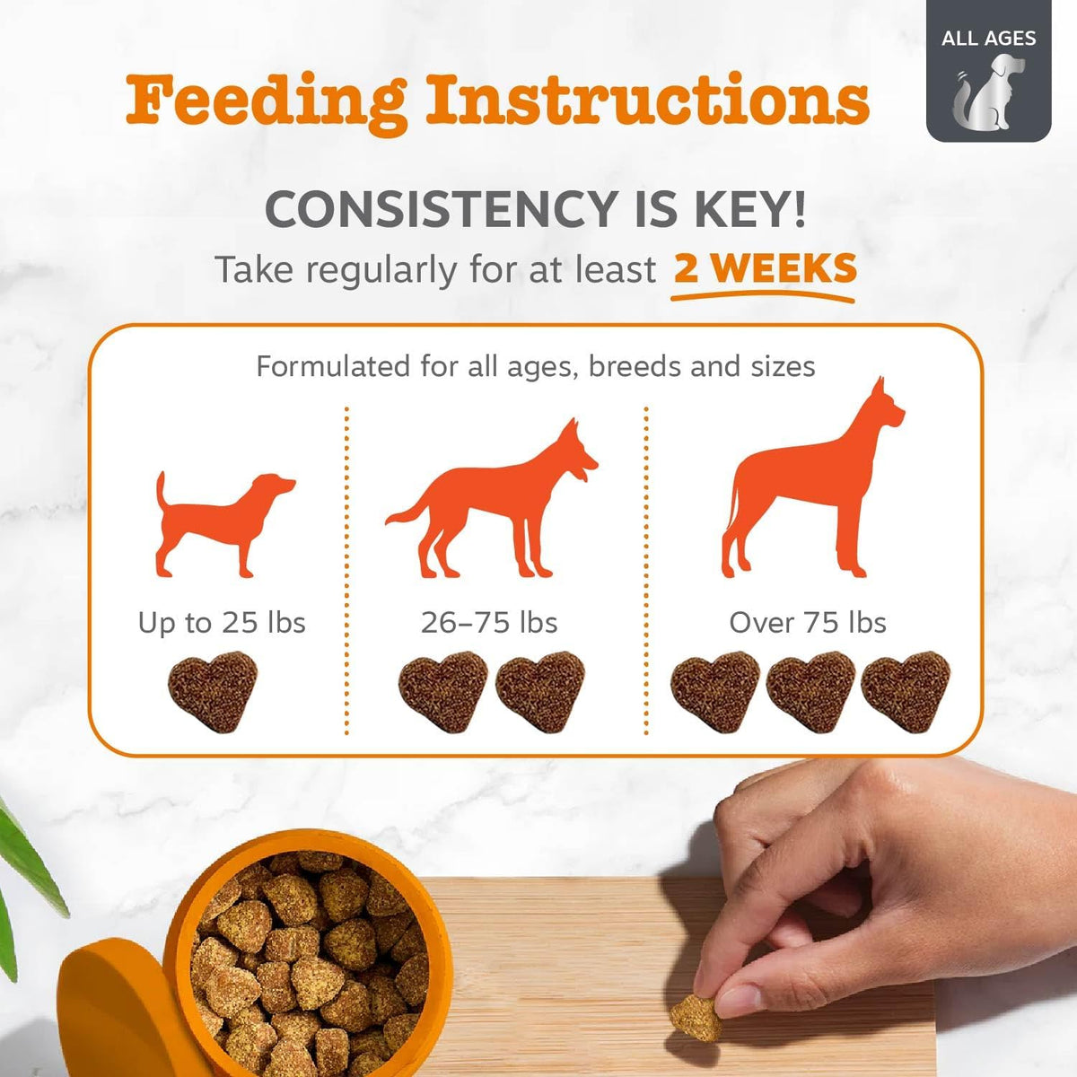 Zesty Paws Dog Allergy Chews - Dog Allergy Relief, Lamb, 90 Ct Father Jim Norris notebooks