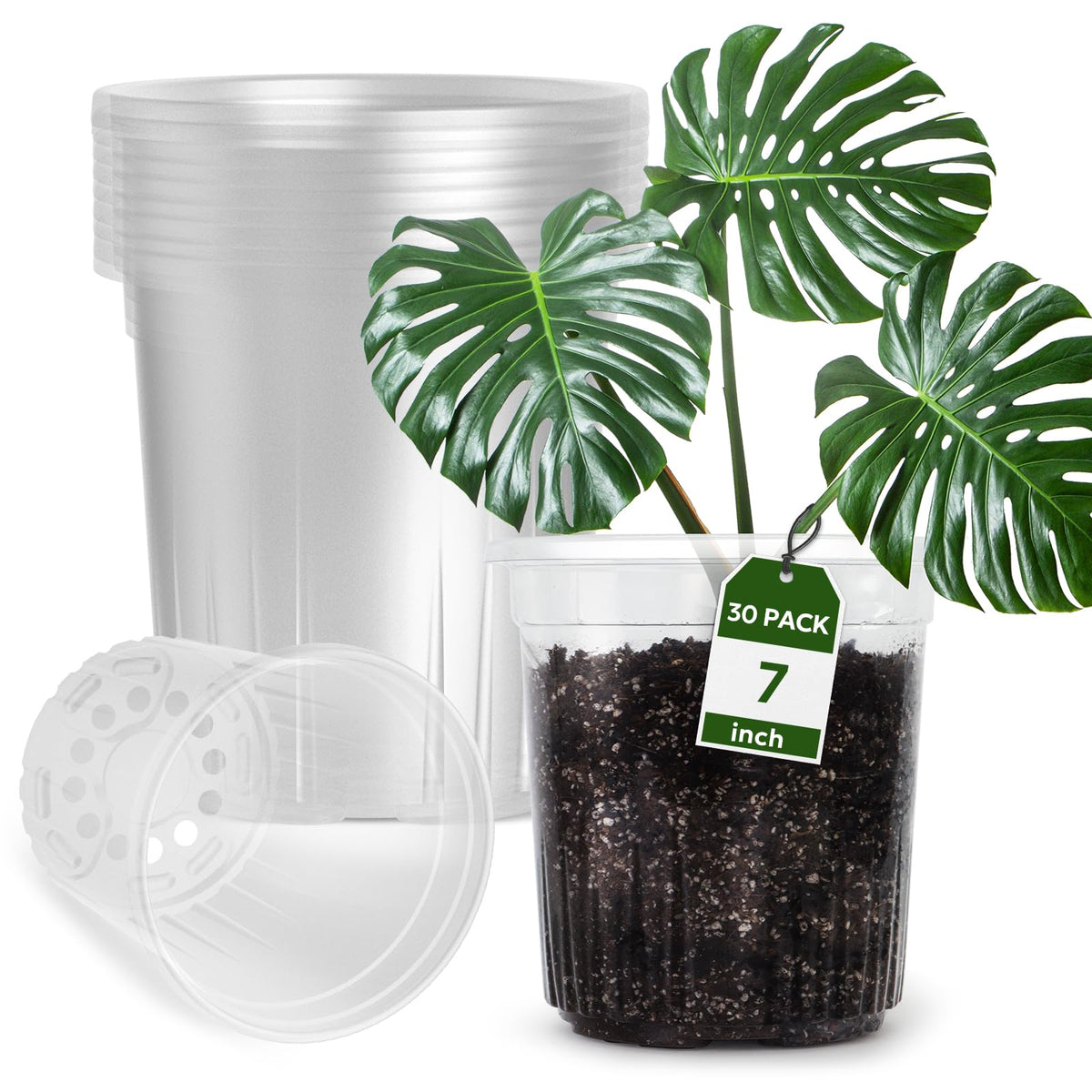 Bluepro Clear Nursery Pots with Humidity Domes, 4 Inch, 30-Pack Father Jim Norris notebooks