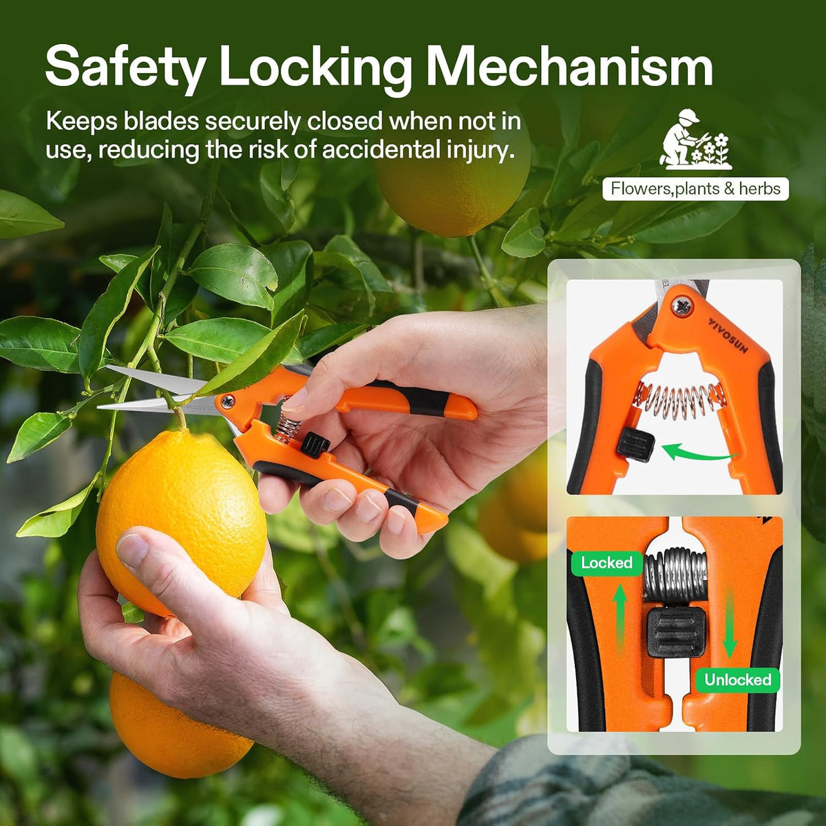 VIVOSUN 6.5 Inch Gardening Scissors Hand Pruner Pruning Shear with Straight Stainless Steel Blades Orange 1-Pack Father Jim Norris notebooks