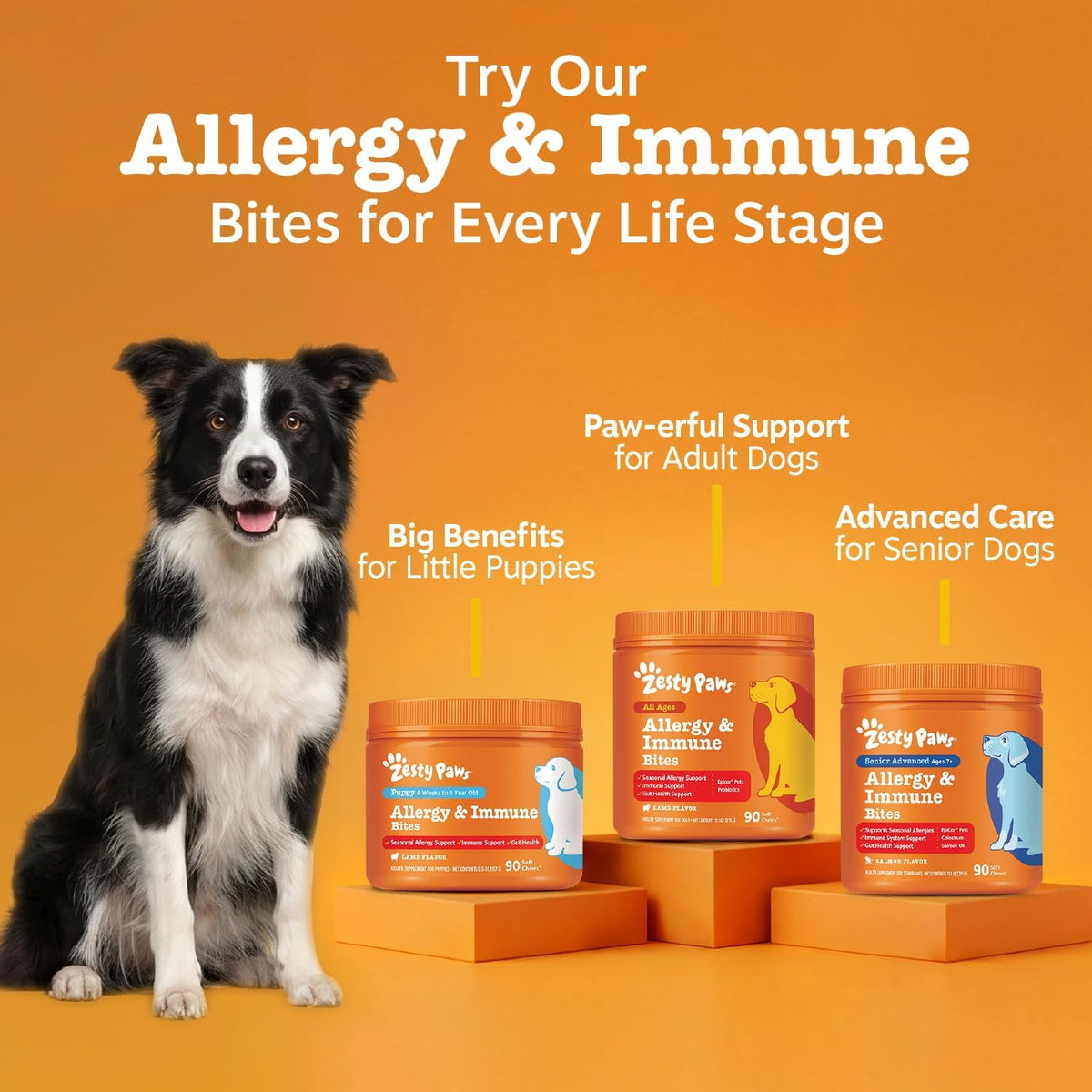 Zesty Paws Dog Allergy Chews - Dog Allergy Relief, Lamb, 90 Ct Father Jim Norris notebooks