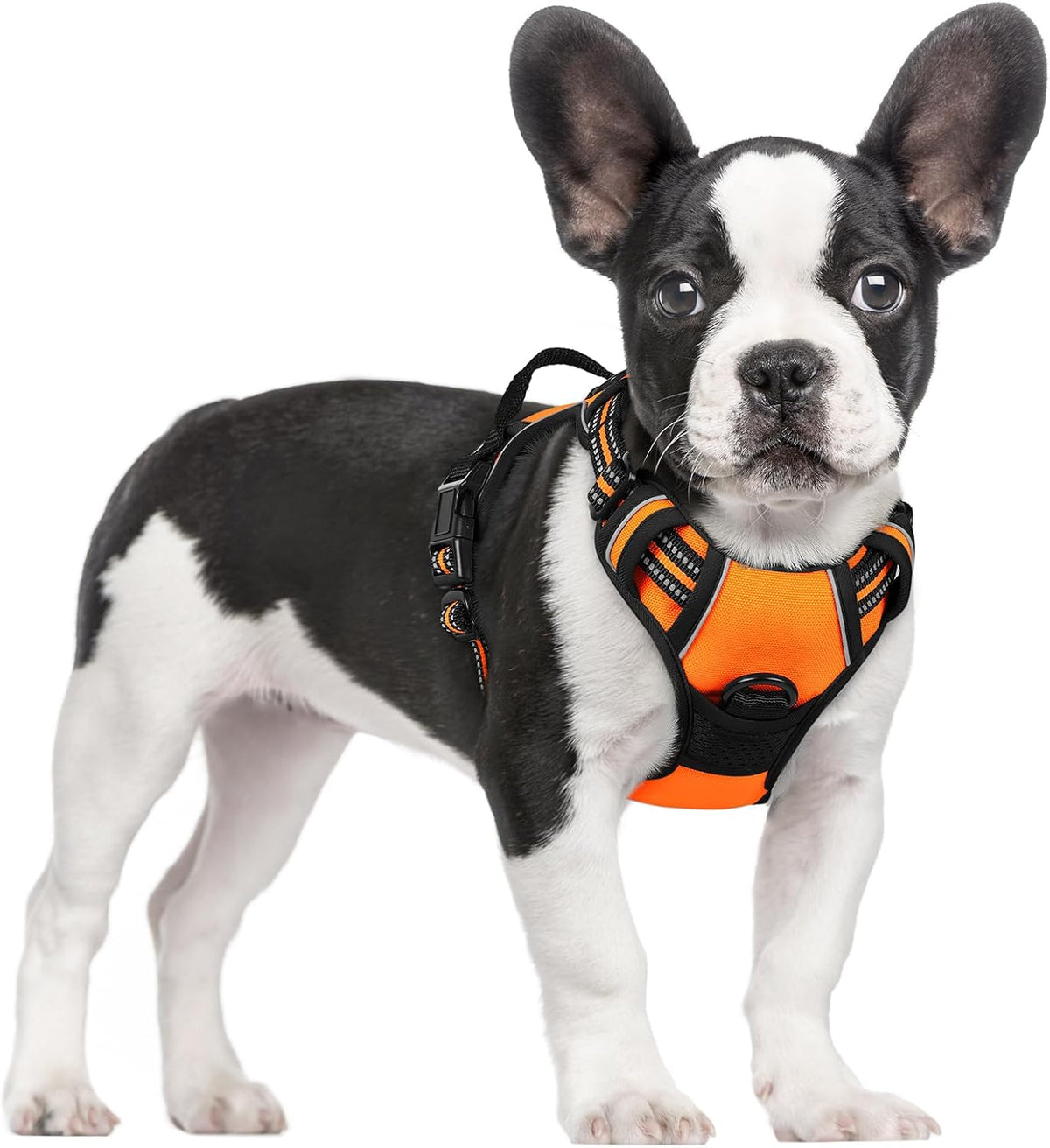 rabbitgoo Dog Harness, No Pull for Large Dogs with 2 Leash Clips, Pet Vest