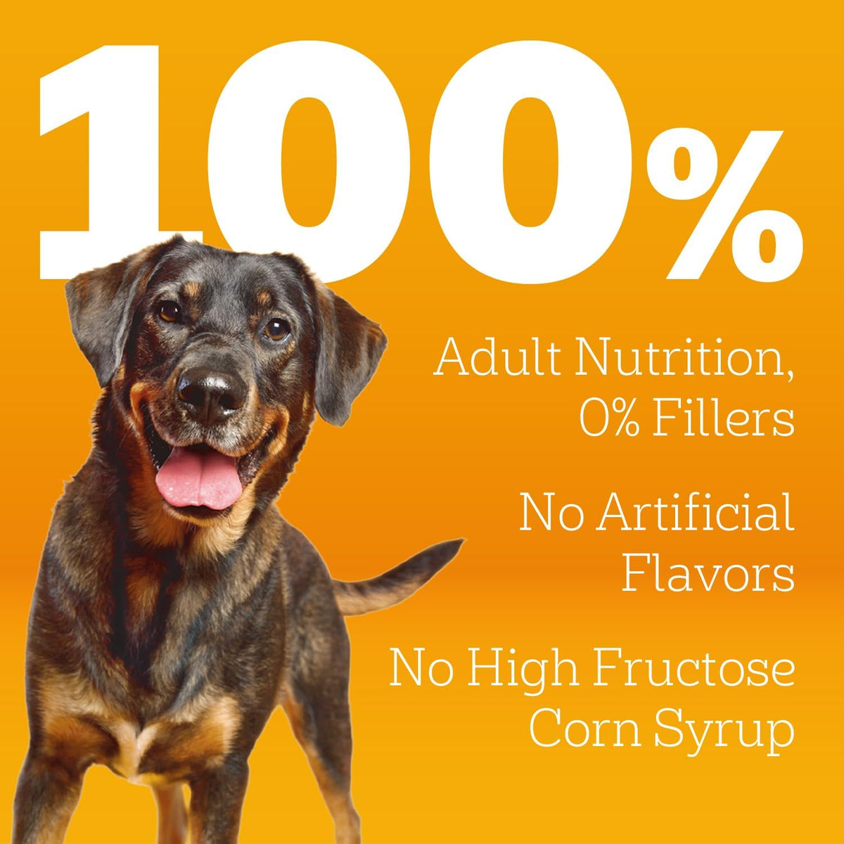 Pedigree Adult Complete Nutrition Dry Dog Food, Steak & Vegetable, 18 lb