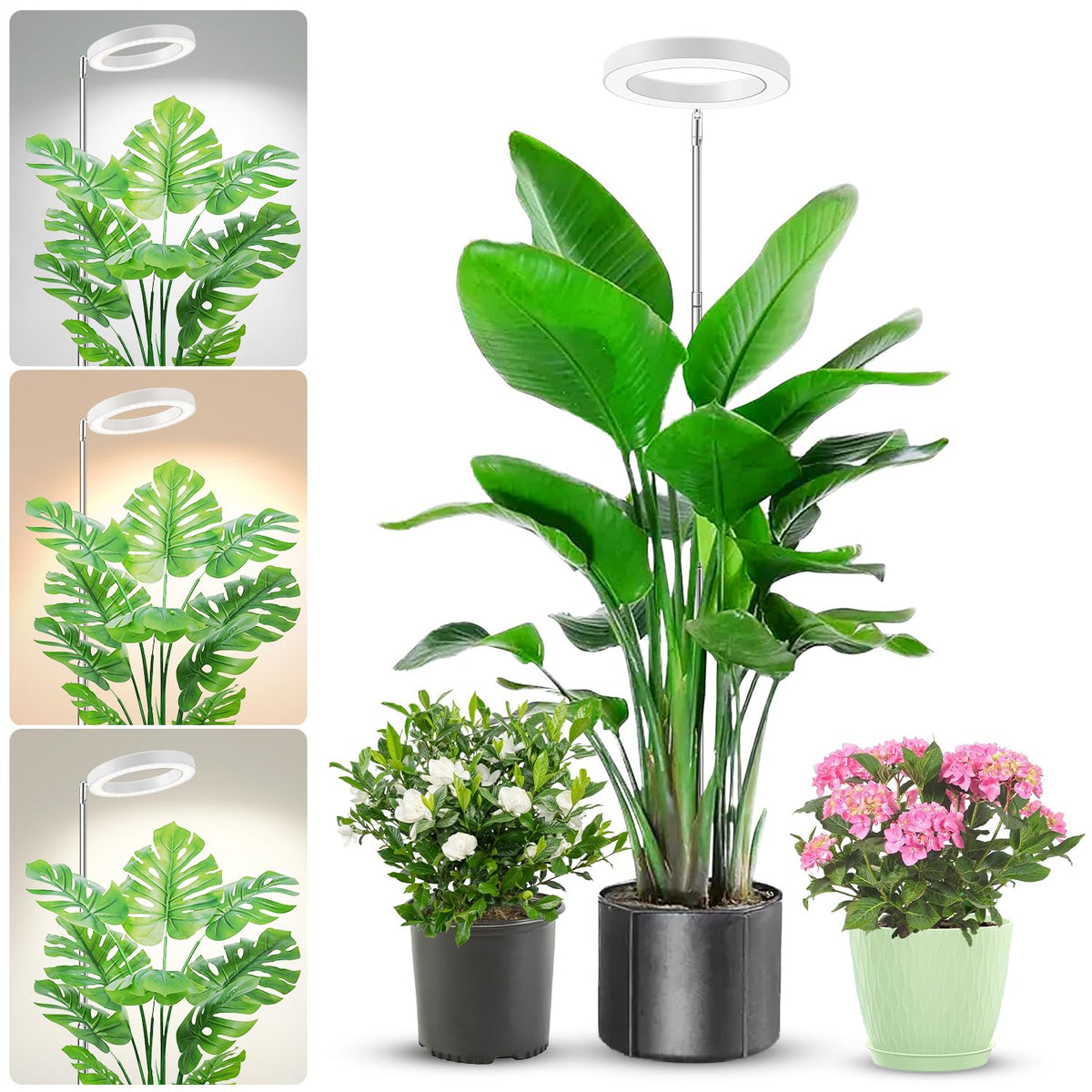 Aokrean Grow Lights for Indoor Plants Growing, Full Spectrum with Base Father Jim Norris notebooks