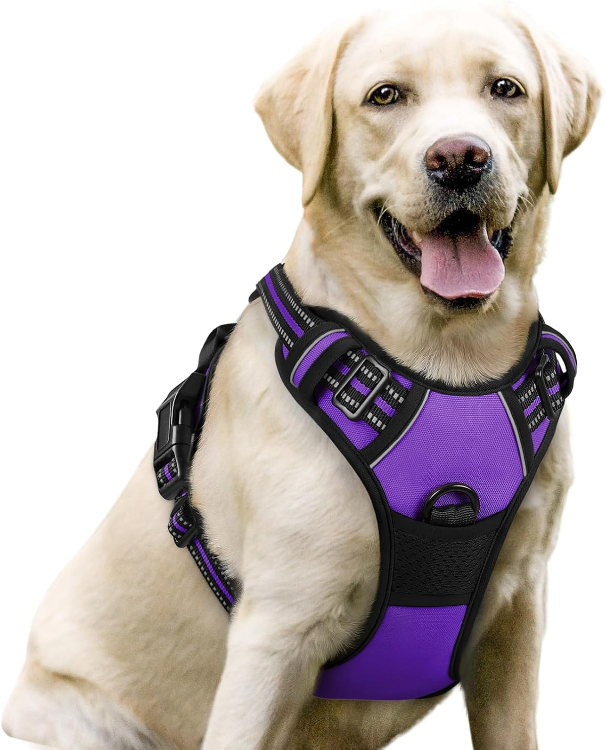 rabbitgoo Dog Harness, No Pull for Large Dogs with 2 Leash Clips, Pet Vest
