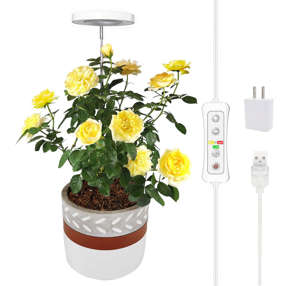 Yadoker 144 LEDs Full Spectrum Plant Grow Light for Indoor Plants,Height Adjustable, 6.3" Aluminum Housing,Automatic Timer with 8/12/16 Hours,10-Level Brightness,Black Plant Light with Base,2 Pack Father Jim Norris notebooks