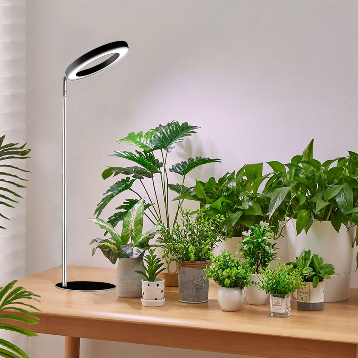 Yadoker 144 LEDs Full Spectrum Plant Grow Light for Indoor Plants,Height Adjustable, 6.3" Aluminum Housing,Automatic Timer with 8/12/16 Hours,10-Level Brightness,Black Plant Light with Base,2 Pack Father Jim Norris notebooks