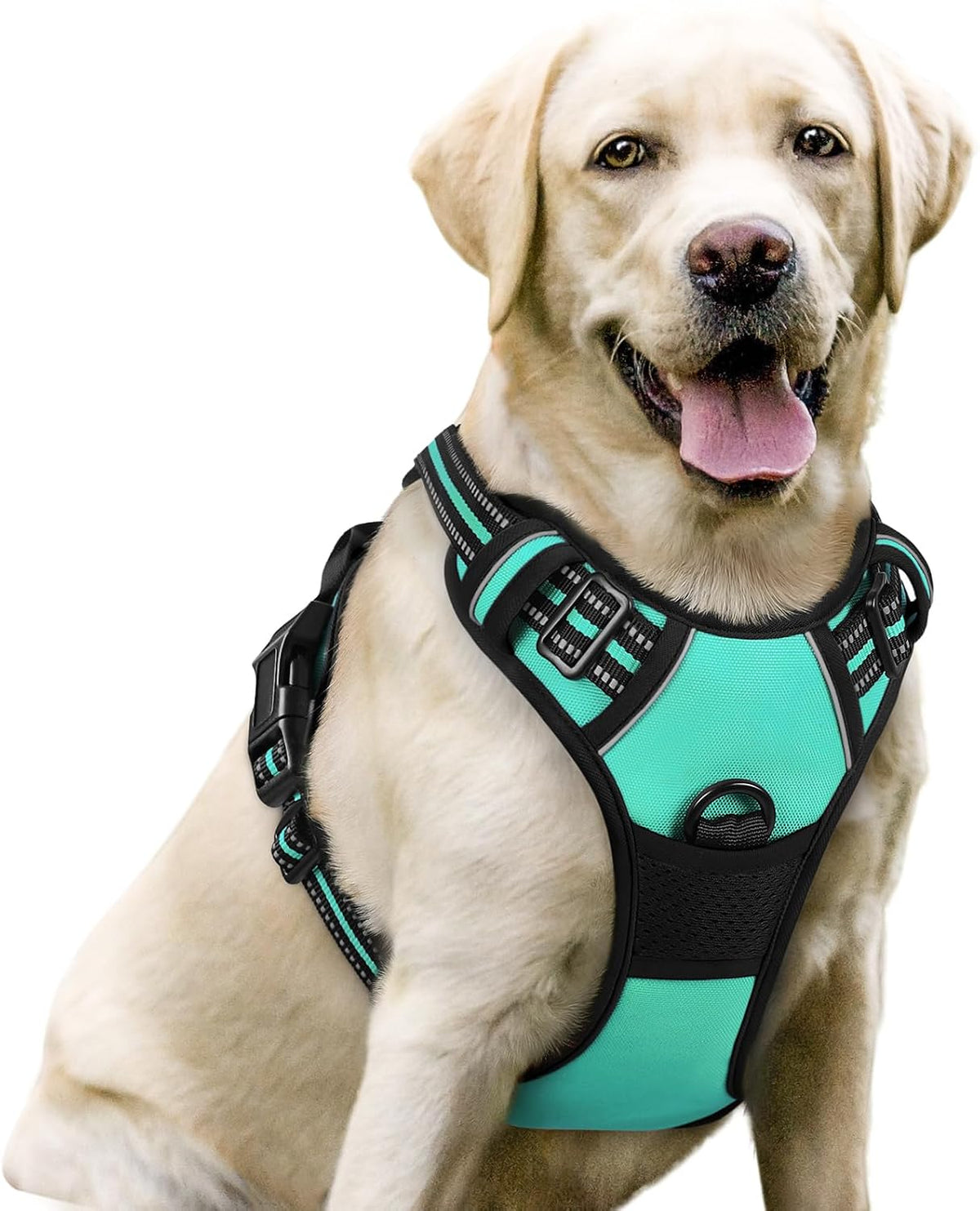 rabbitgoo Dog Harness, No Pull for Large Dogs with 2 Leash Clips, Pet Vest