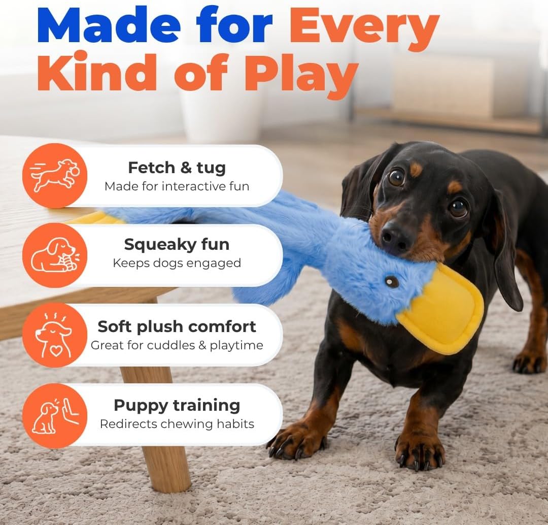 Best Pet Supplies Interactive Squeaky Dog Toy - Crinkle Duck, Blue Father Jim Norris notebooks