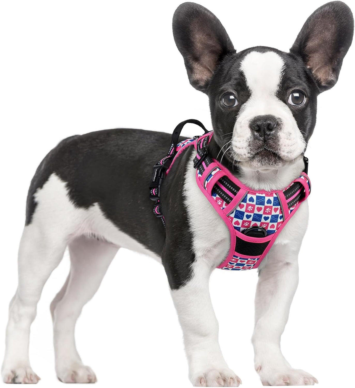 rabbitgoo Dog Harness, No Pull for Large Dogs with 2 Leash Clips, Pet Vest
