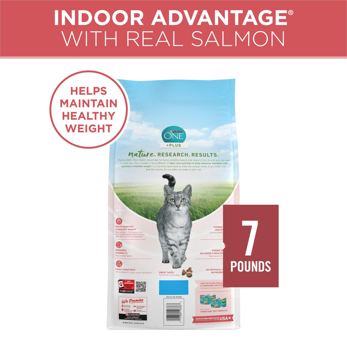 Purina ONE Natural Indoor Dry Cat Food, +Plus Indoor Advantage