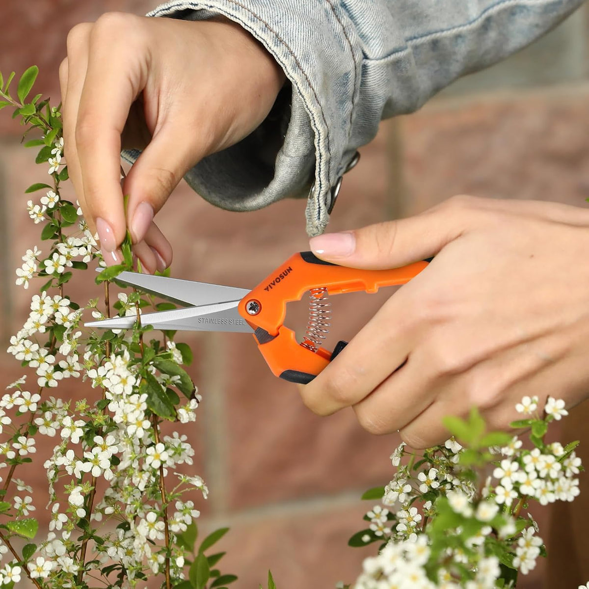VIVOSUN 6.5 Inch Gardening Scissors Hand Pruner Pruning Shear with Straight Stainless Steel Blades Orange 1-Pack Father Jim Norris notebooks