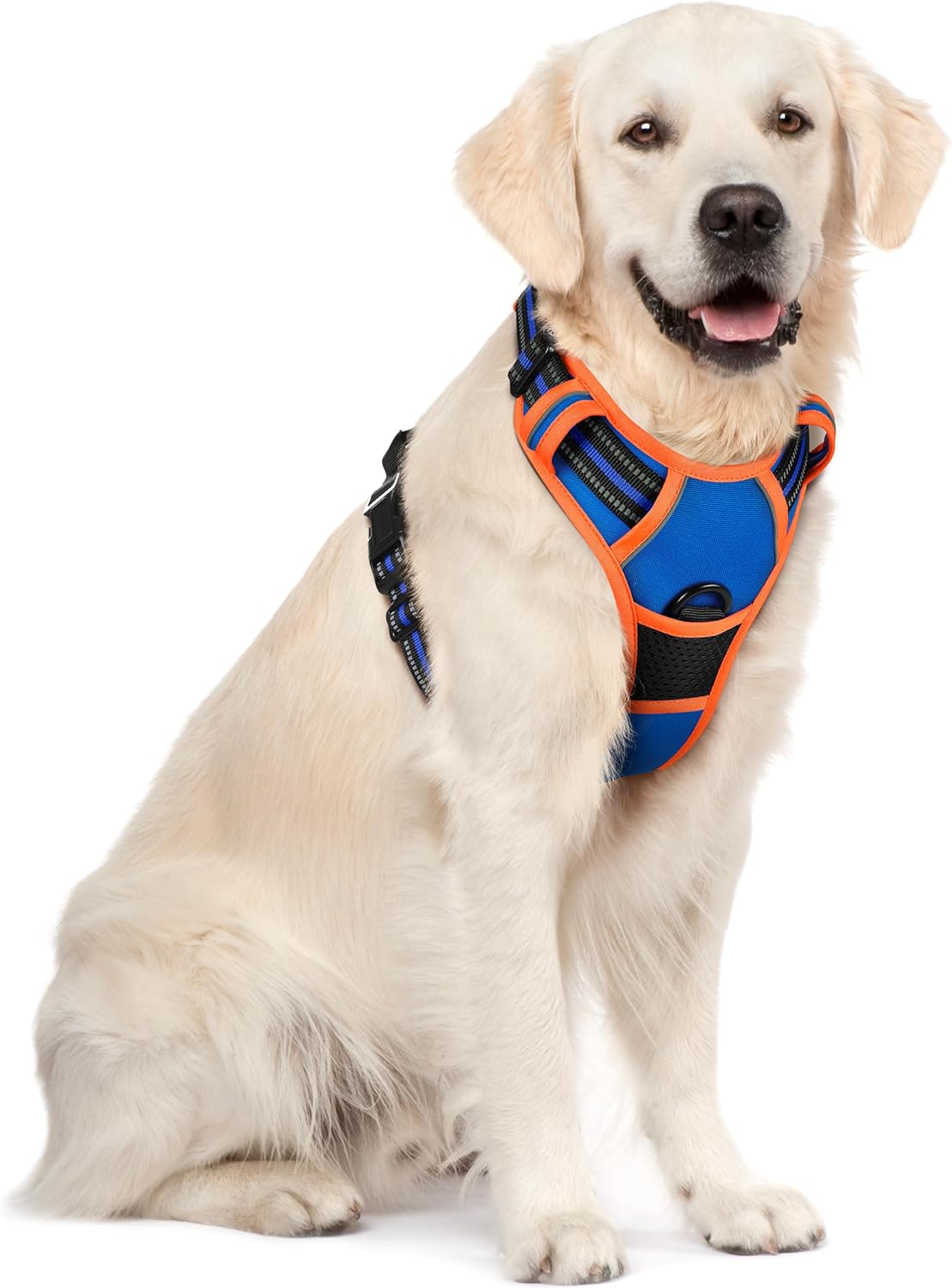 rabbitgoo Dog Harness, No Pull for Large Dogs with 2 Leash Clips, Pet Vest