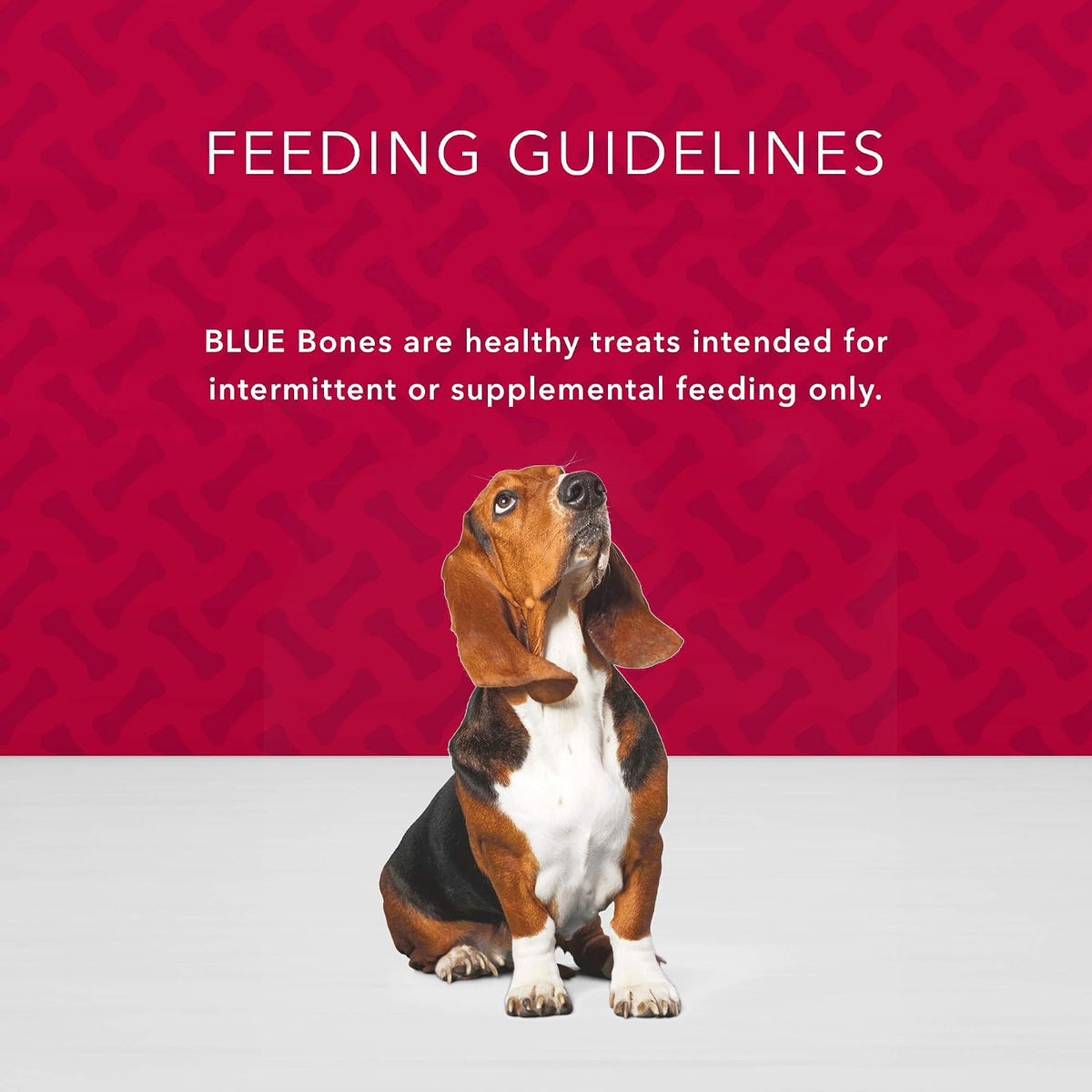 Blue Buffalo Health Bars Pumpkin & Cinnamon Dog Biscuits, 16 oz Father Jim Norris notebooks