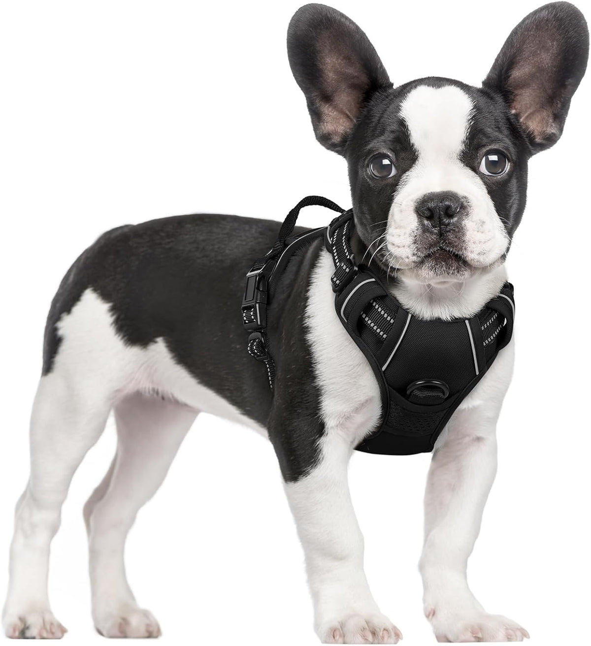 rabbitgoo Dog Harness, No Pull for Large Dogs with 2 Leash Clips, Pet Vest