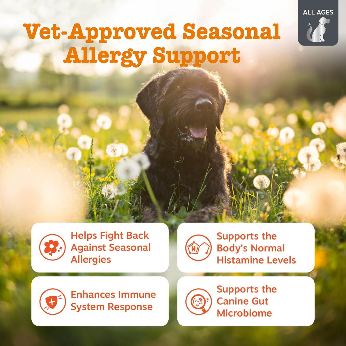 Zesty Paws Dog Allergy Chews - Dog Allergy Relief, Lamb, 90 Ct Father Jim Norris notebooks