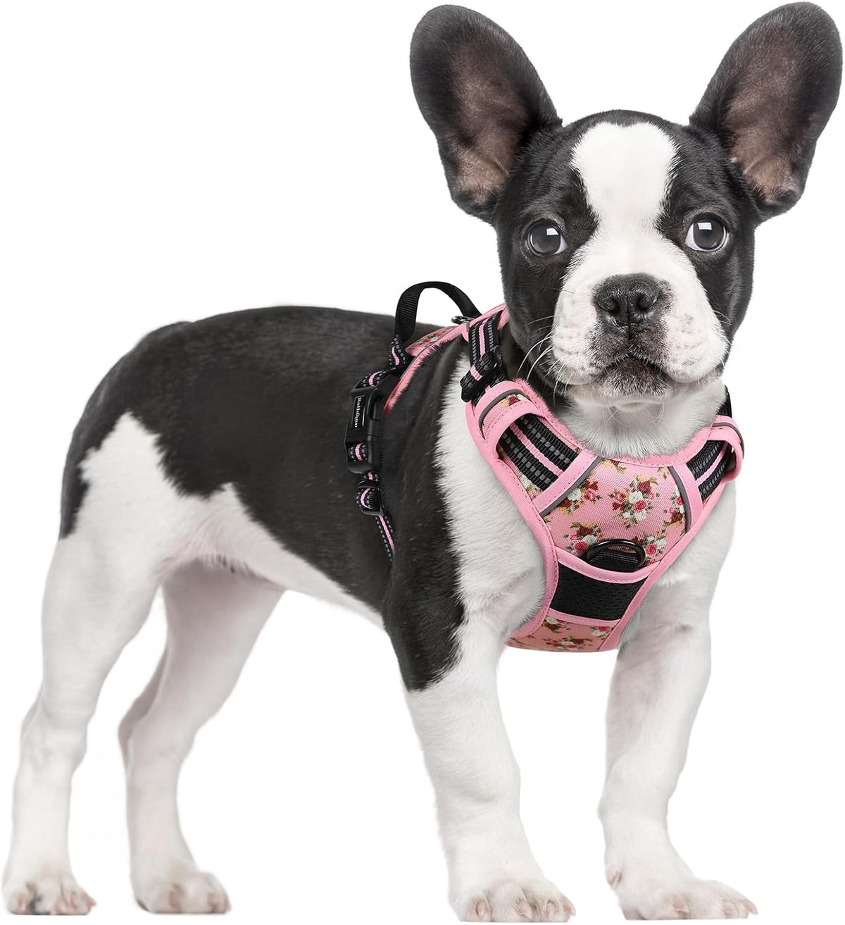 rabbitgoo Dog Harness, No Pull for Large Dogs with 2 Leash Clips, Pet Vest