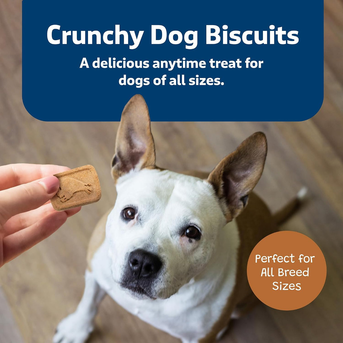 Blue Buffalo Health Bars Pumpkin & Cinnamon Dog Biscuits, 16 oz Father Jim Norris notebooks