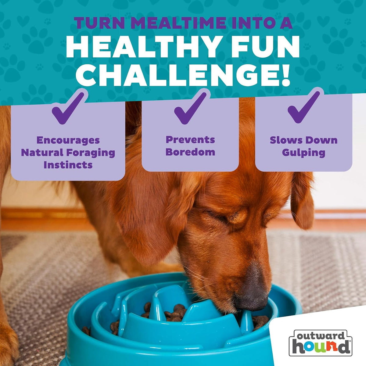 Outward Hound Fun Feeder Slo Bowl Dog Slow Feeder, Notch, Blue, 8.8"