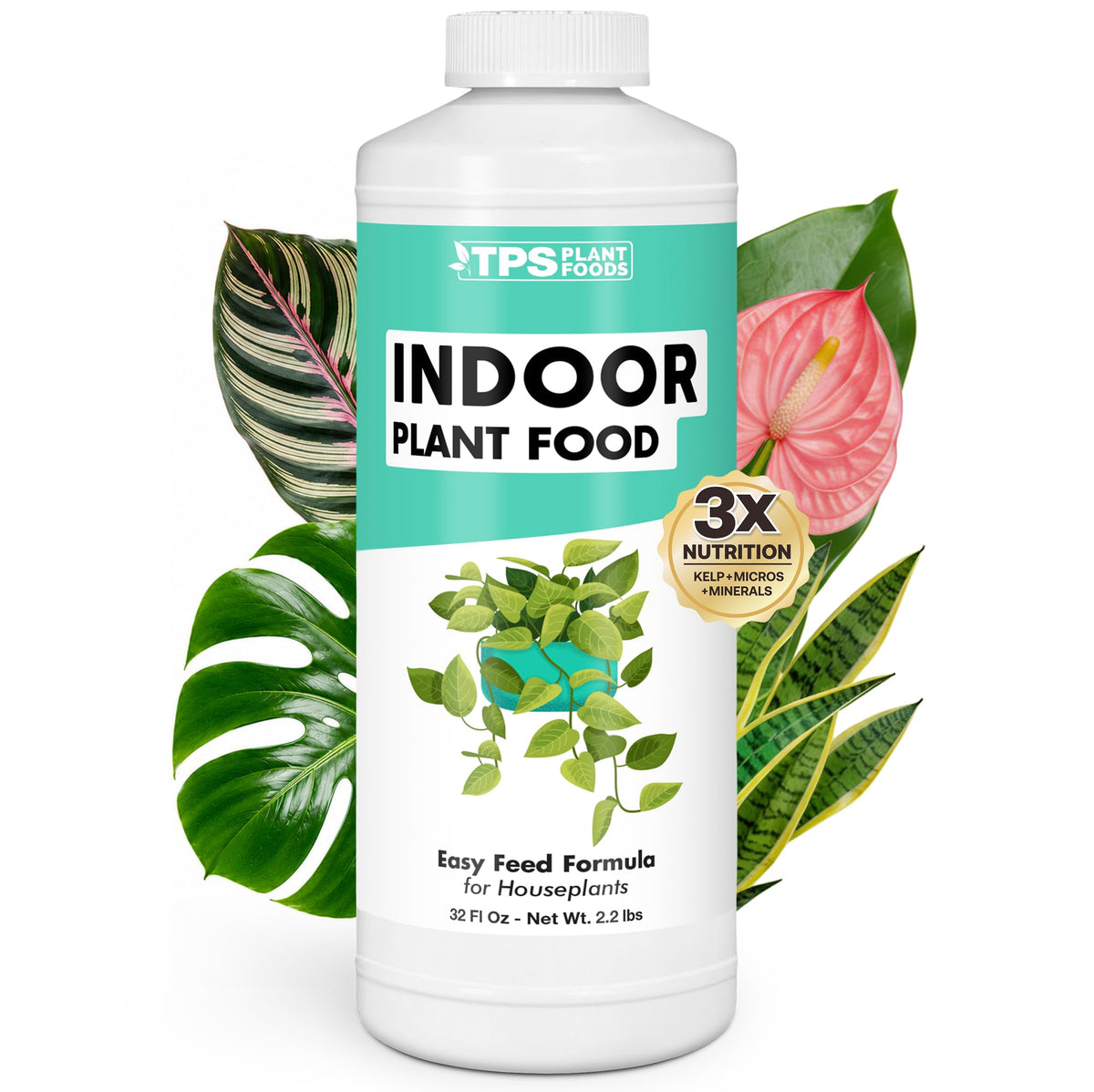 Lemon Tree Fertilizer – Liquid Plant Food for Healthy Growth & Blooms, 8 oz Father Jim Norris notebooks